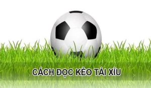 Bí Quyết Phân Tích Kèo Tài Xỉu Giúp Tối Ưu Hóa Tỷ Lệ Thắng Lợi Cao