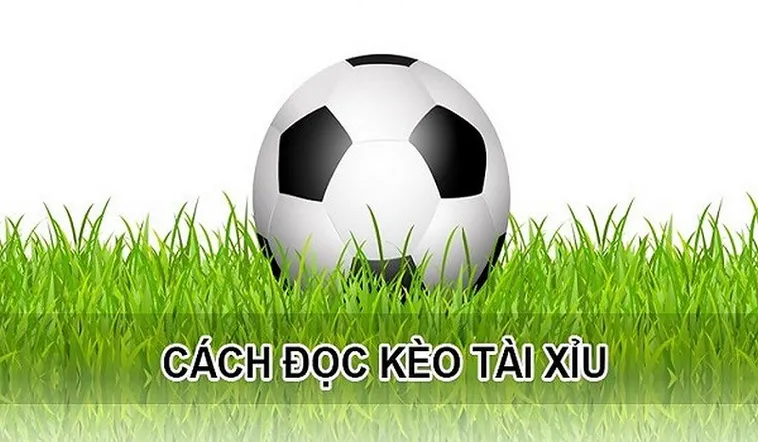 Bí Quyết Phân Tích Kèo Tài Xỉu Giúp Tối Ưu Hóa Tỷ Lệ Thắng Lợi Cao
