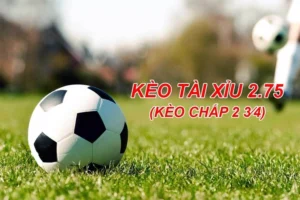 Hướng Dẫn Cách Chơi Kèo 2.75 Trong Cá Cược Bóng Đá Hiệu Quả