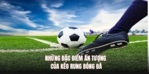 Hướng Dẫn Cách Đọc Và Chơi Kèo Rung Trong Bóng Đá Hiệu Quả